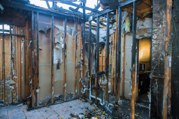Professional Soot Cleanup technician working in Carnation, WA